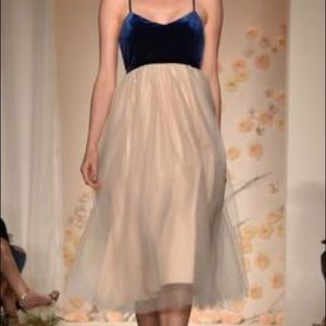 Blue velvet and tulle ballerina style dress